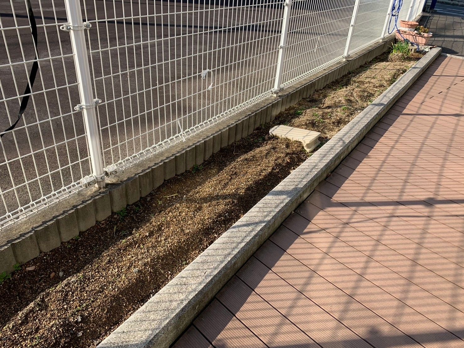 小道沿いの花壇
