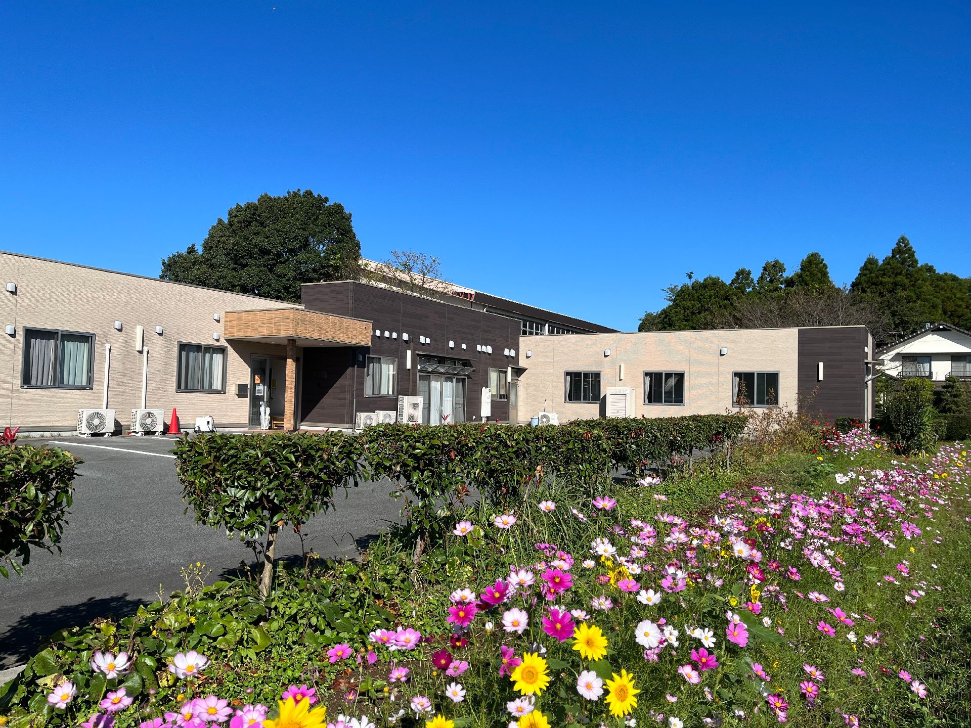 ブラウンとベージュの外壁の平屋建ての建物。日当たりのいい場所にあり、玄関には屋根が付いている。