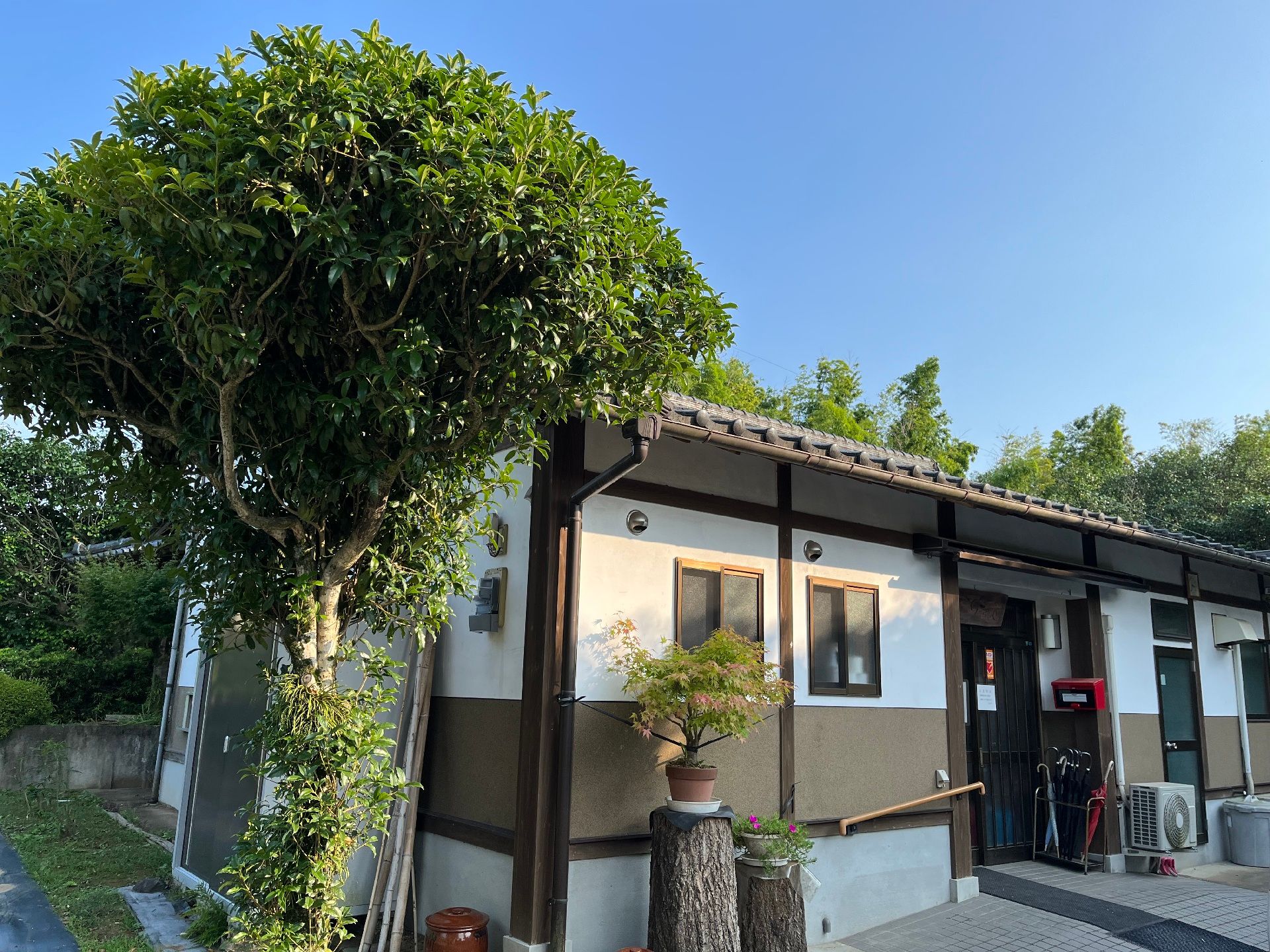 木製のダークブラウンの外壁に設置された木製の看板には「てとて」と彫られている。