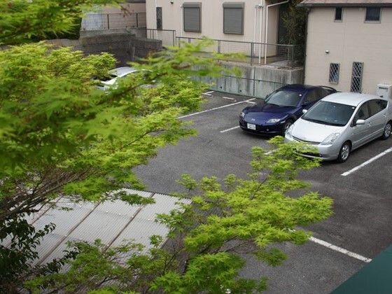 複数台の車が止められた広い駐車場には白線が引かれている。
