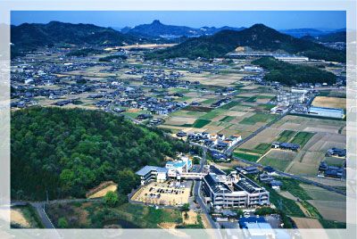 緑に囲まれた施設全景