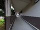 <br>
緑に囲まれた通路