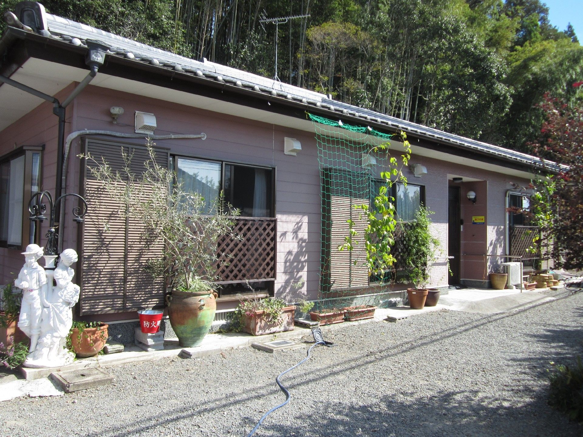 建物の周辺にはたくさんの鉢が並べられている。裏には笹林があり、自然に恵まれた環境。