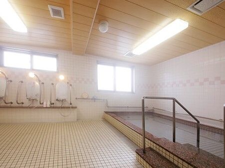 大きな浴槽の出入り口には手すりが付き、シャワースペースもある。シャワーの鏡の両サイドに手すりが付き、床はタイルが敷かれている。