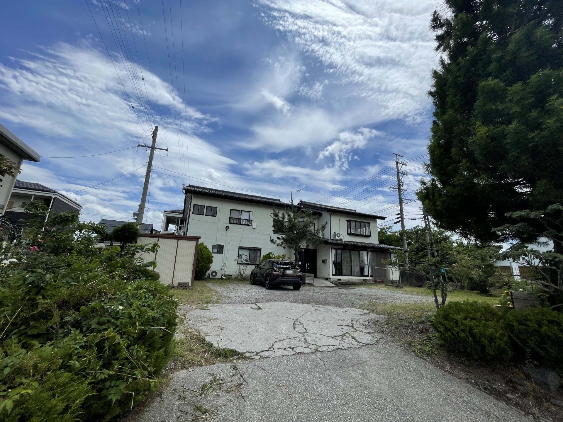 緑に囲まれた建物の外観