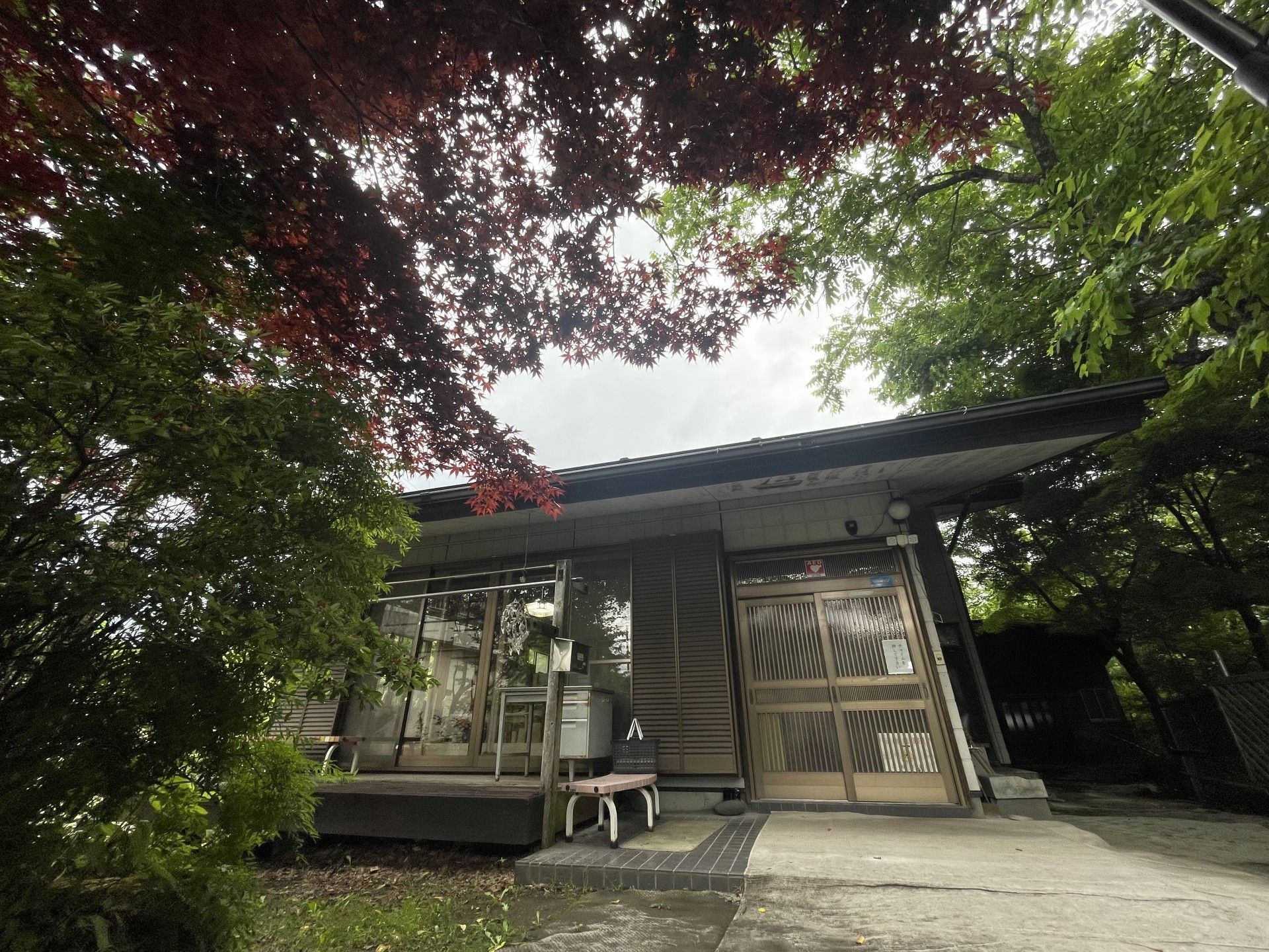 緑に囲まれた建物の外観