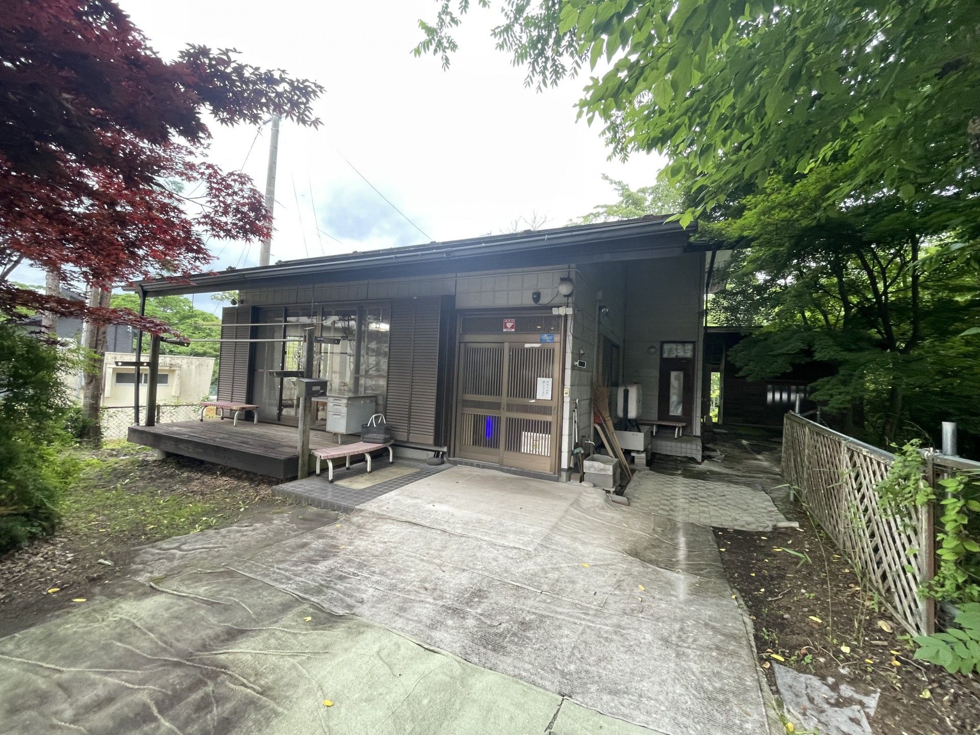 緑に囲まれた建物の外観