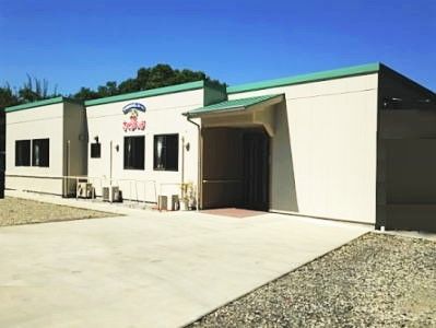 平屋建ての建物にはたくさんの窓が付き、周辺の自然あふれる風景を館内から眺めることもできる。