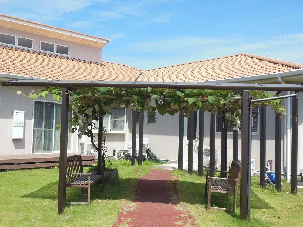 茶色い壁とオレンジ色の屋根の建物の手前にぶどう棚がある。下には茶色い歩道が敷かれている