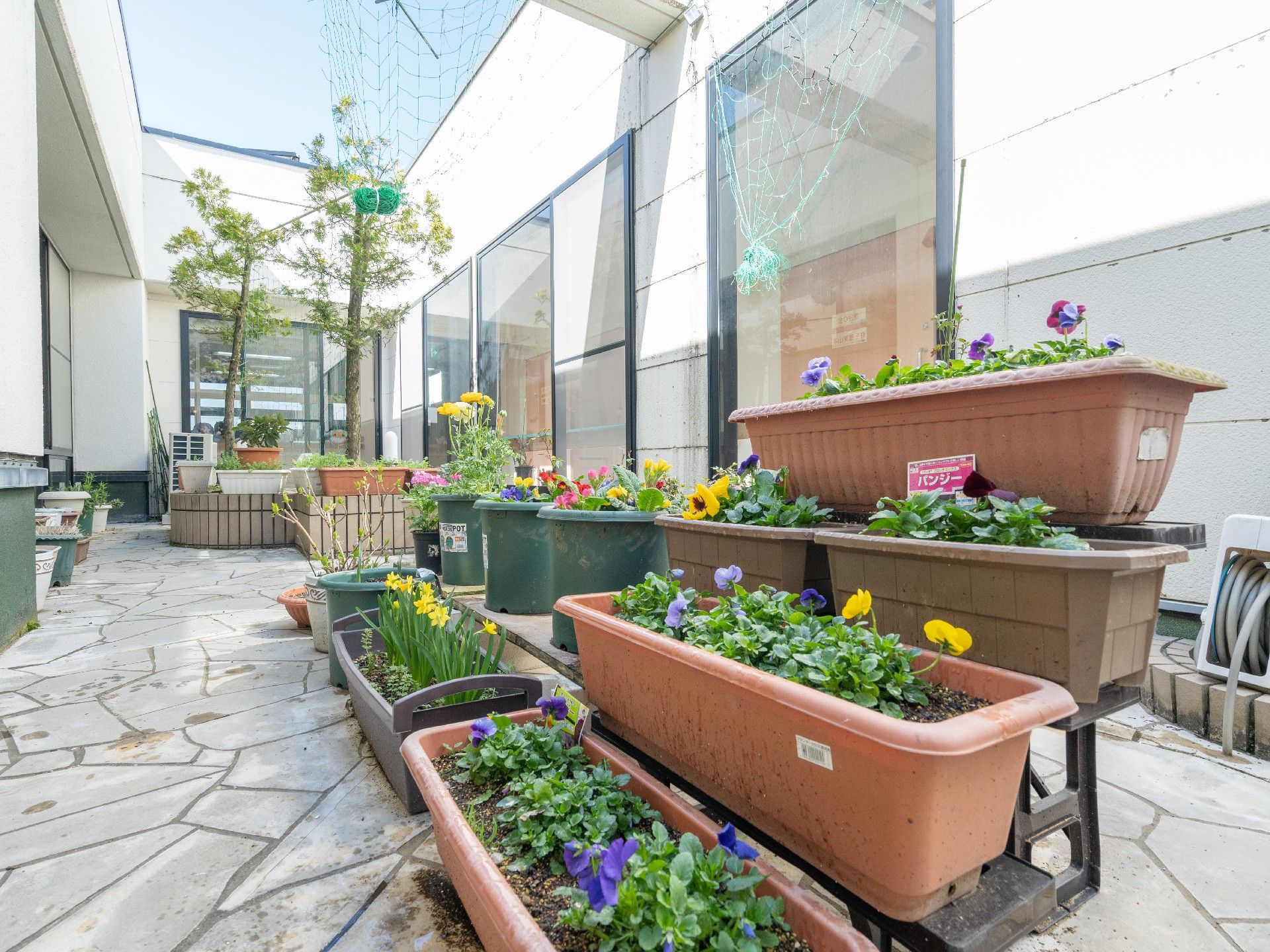 敷地内にある、植物や木が植えられている中庭