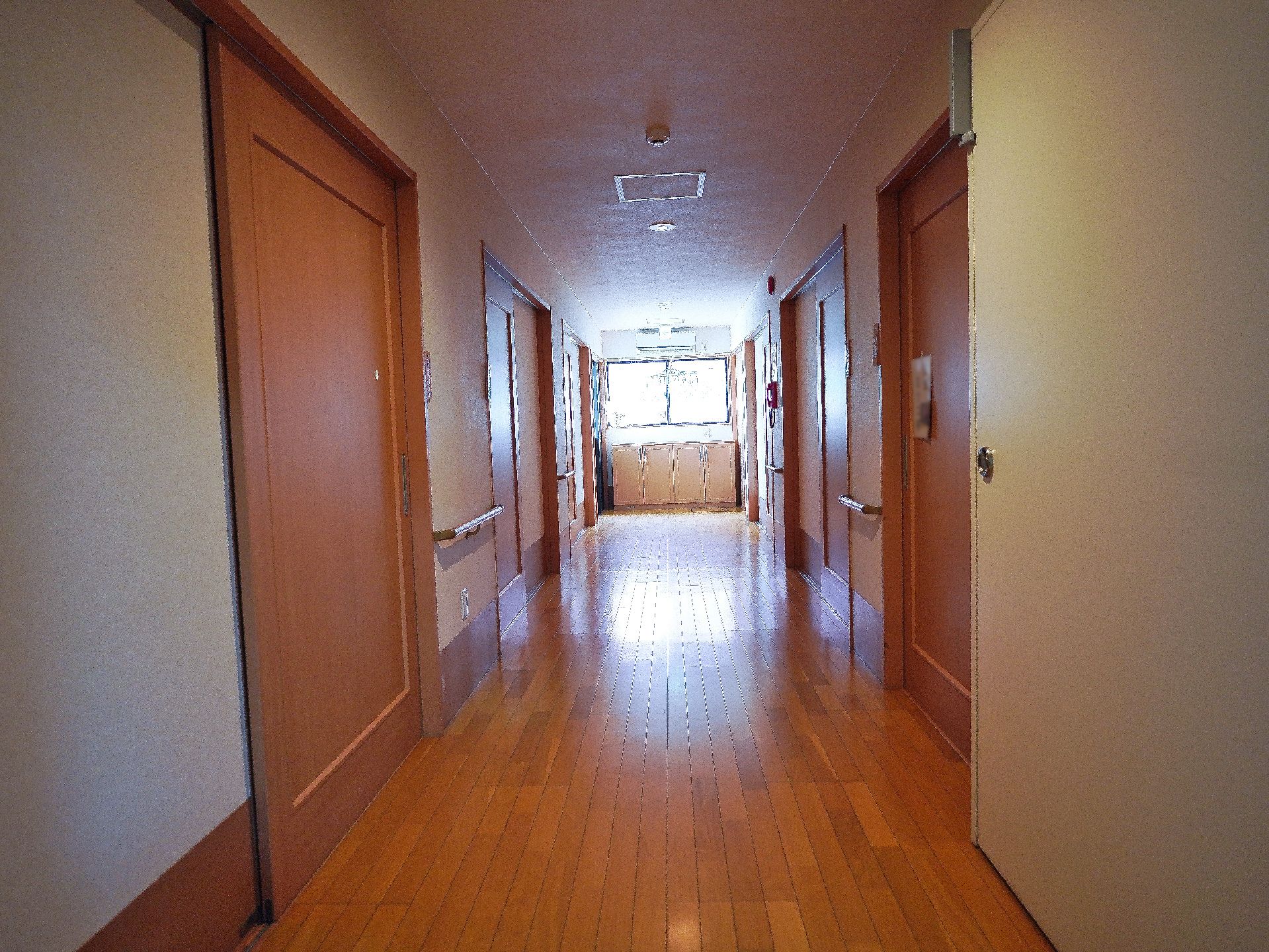 手すりが行き渡り、段差が解消されている館内の廊下