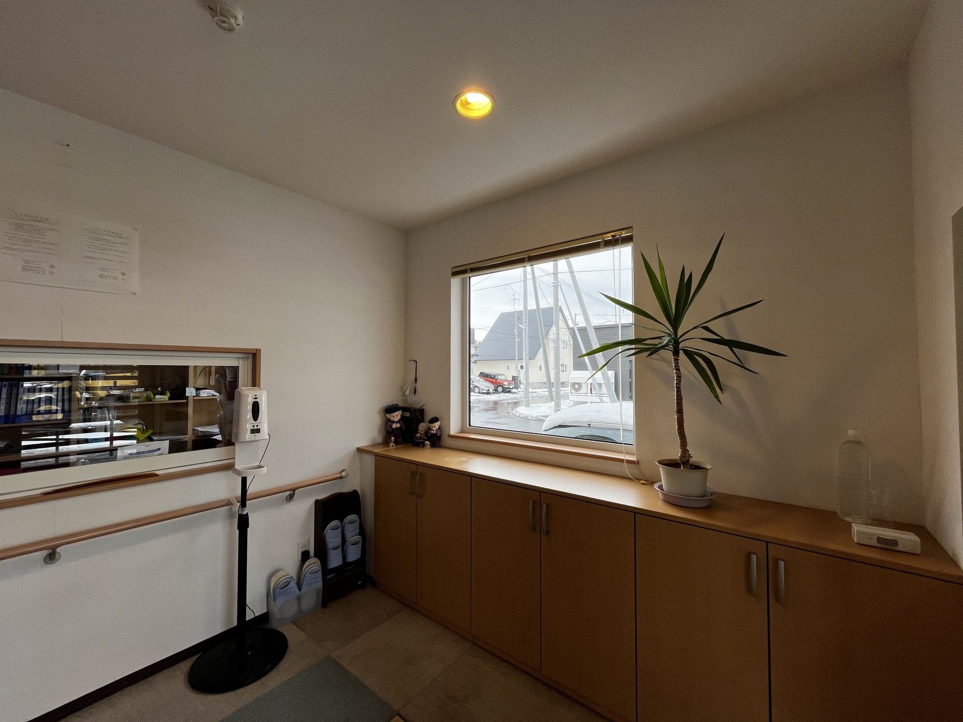 窓際の観葉植物と棚