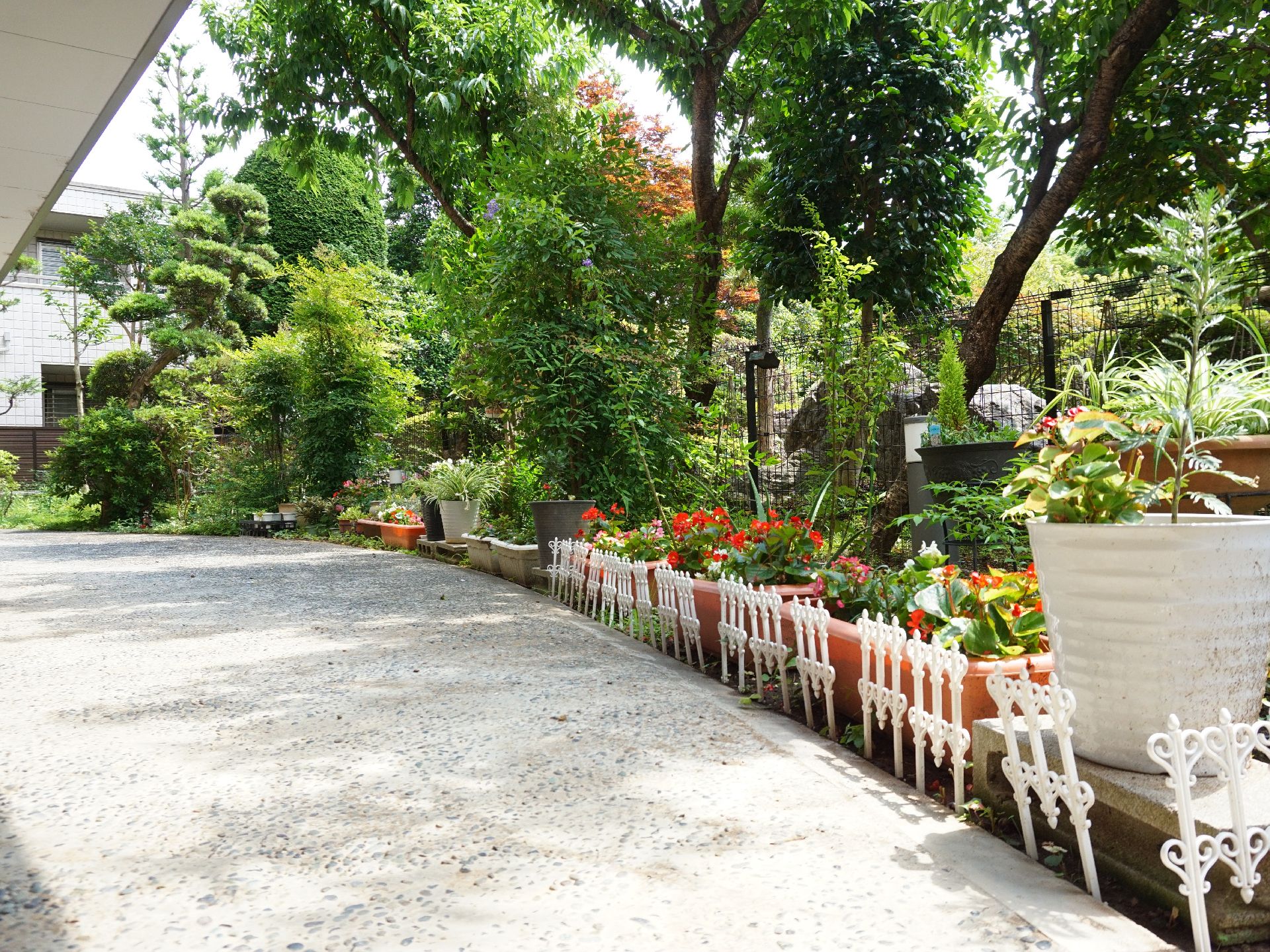 散歩できるように通路が整備され、庭木や花がたくさん植えられている中庭