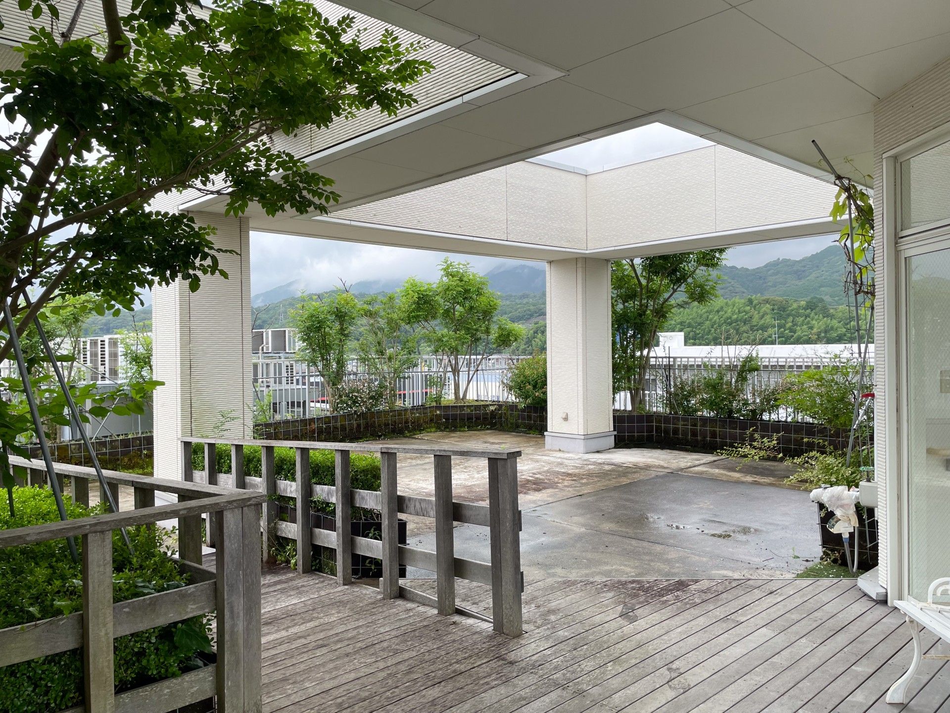 緑豊かな屋外スペース