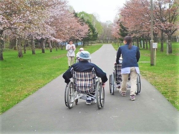 桜の咲いた遊歩道を散歩しているスタッフと車いすを利用している入居者。