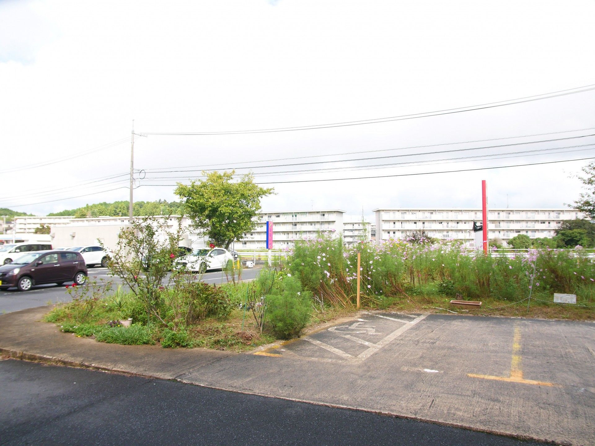 広々とした駐車場の風景