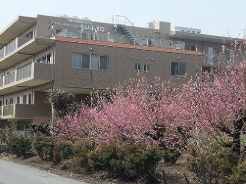 屋上への階段が壁面に完備されている3階建ての施設外観