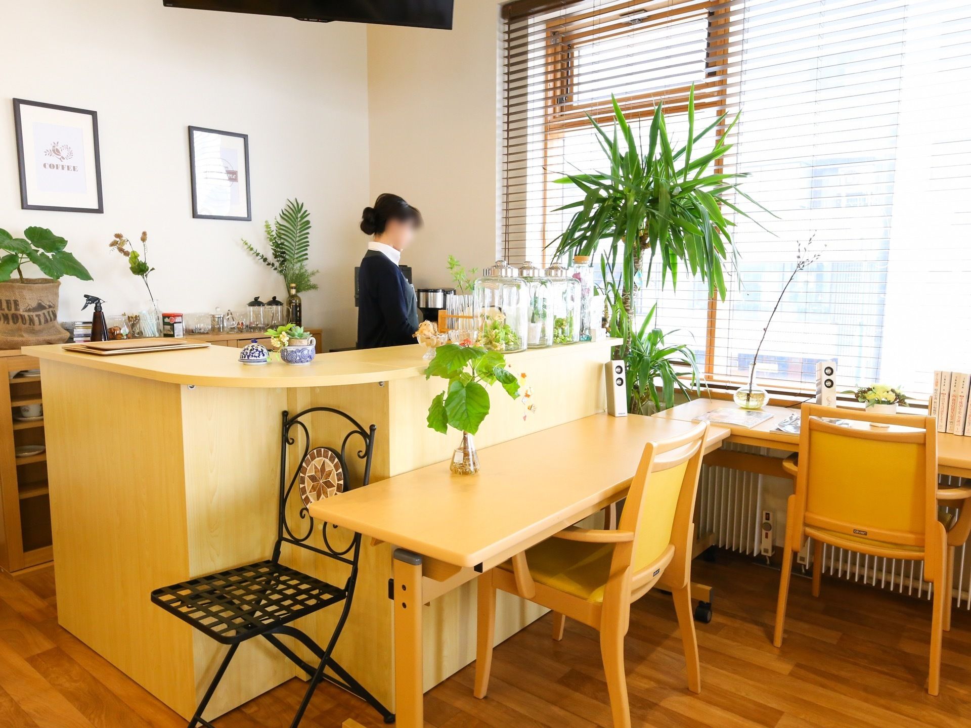 大きな窓が設けられた、明るい喫茶コーナーがある。大小いろいろな観葉植物が置かれている。女性スタッフがカウンターの中で作業している。