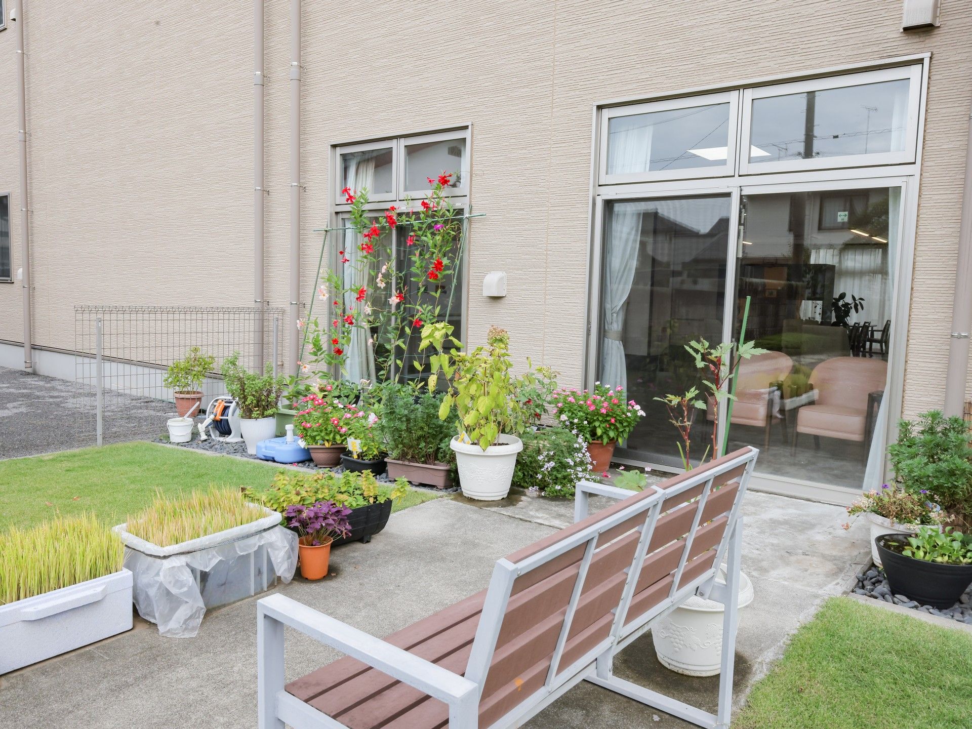 庭のベンチと花々