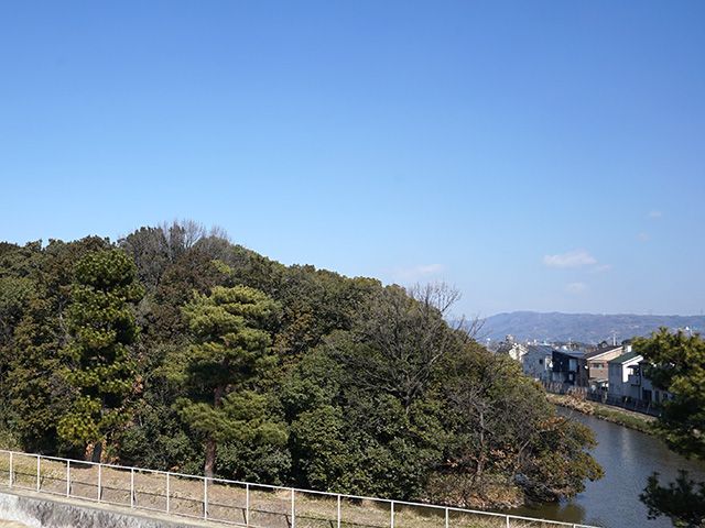 緑豊かな景観エリア