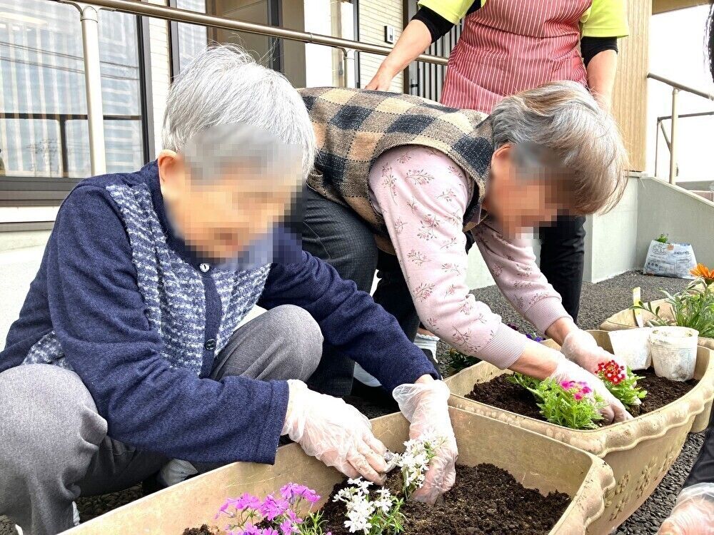 樹木に囲まれた散策路