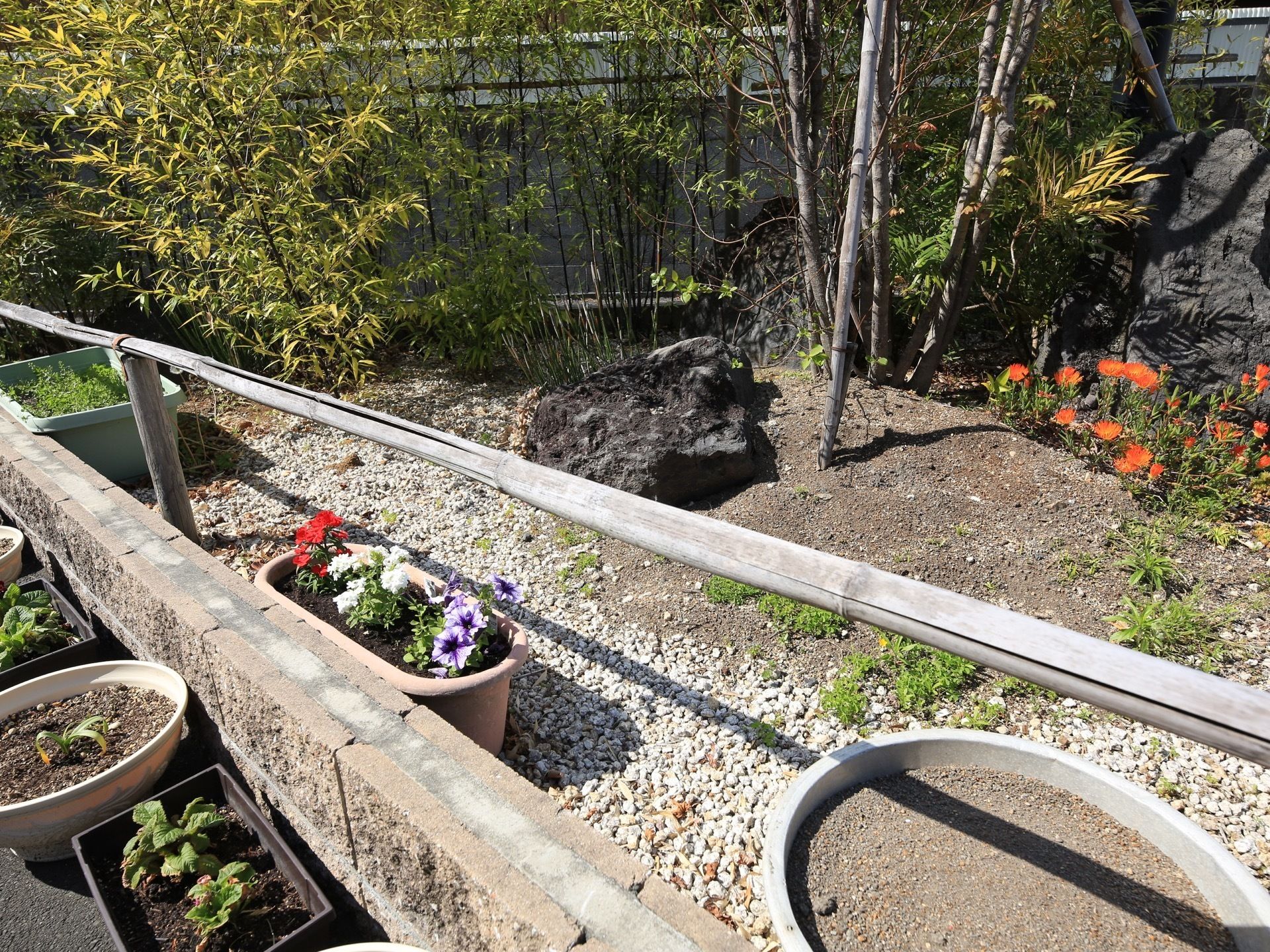 ブロックで囲まれた庭があり、さまざまな植物が植えられている。花や植物が植えられたプランターも置かれている。