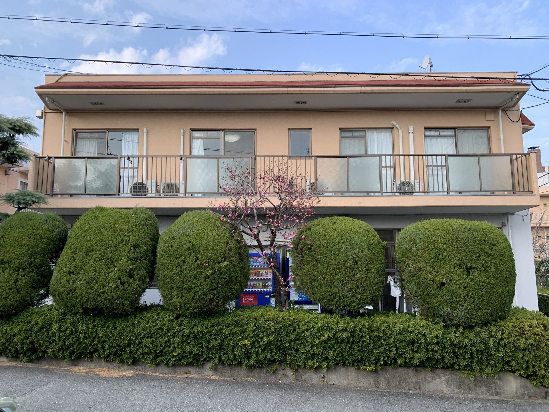 明るい外観の建物