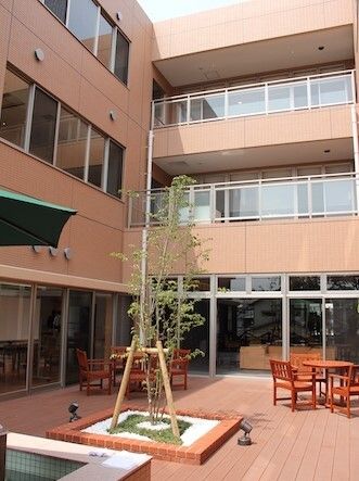 ウッドデッキのテラスには草木が植えられたスペースがあり、木製のテーブルセットが複数置かれている。