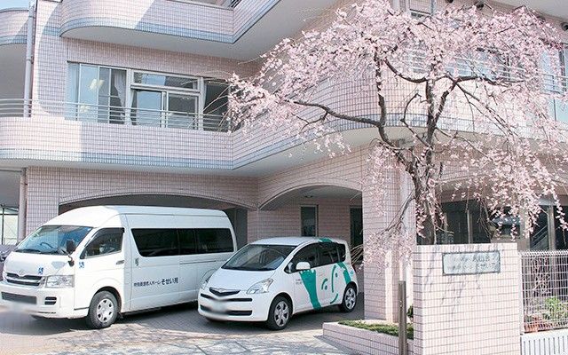 桜の木と送迎車