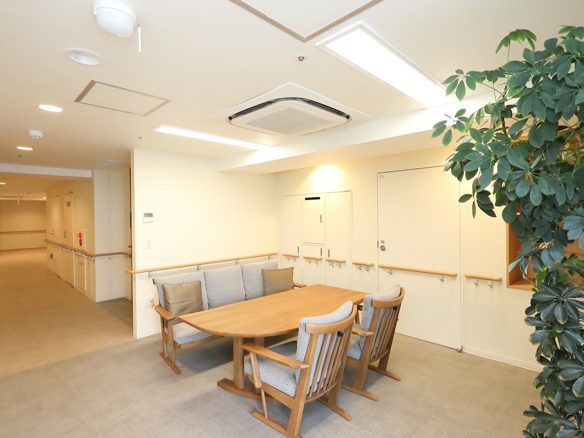 共有スペースの左奥に向かって廊下が伸びている。右手前に大きな観葉植物が飾られた共有スペースで、中央にソファセットがある。