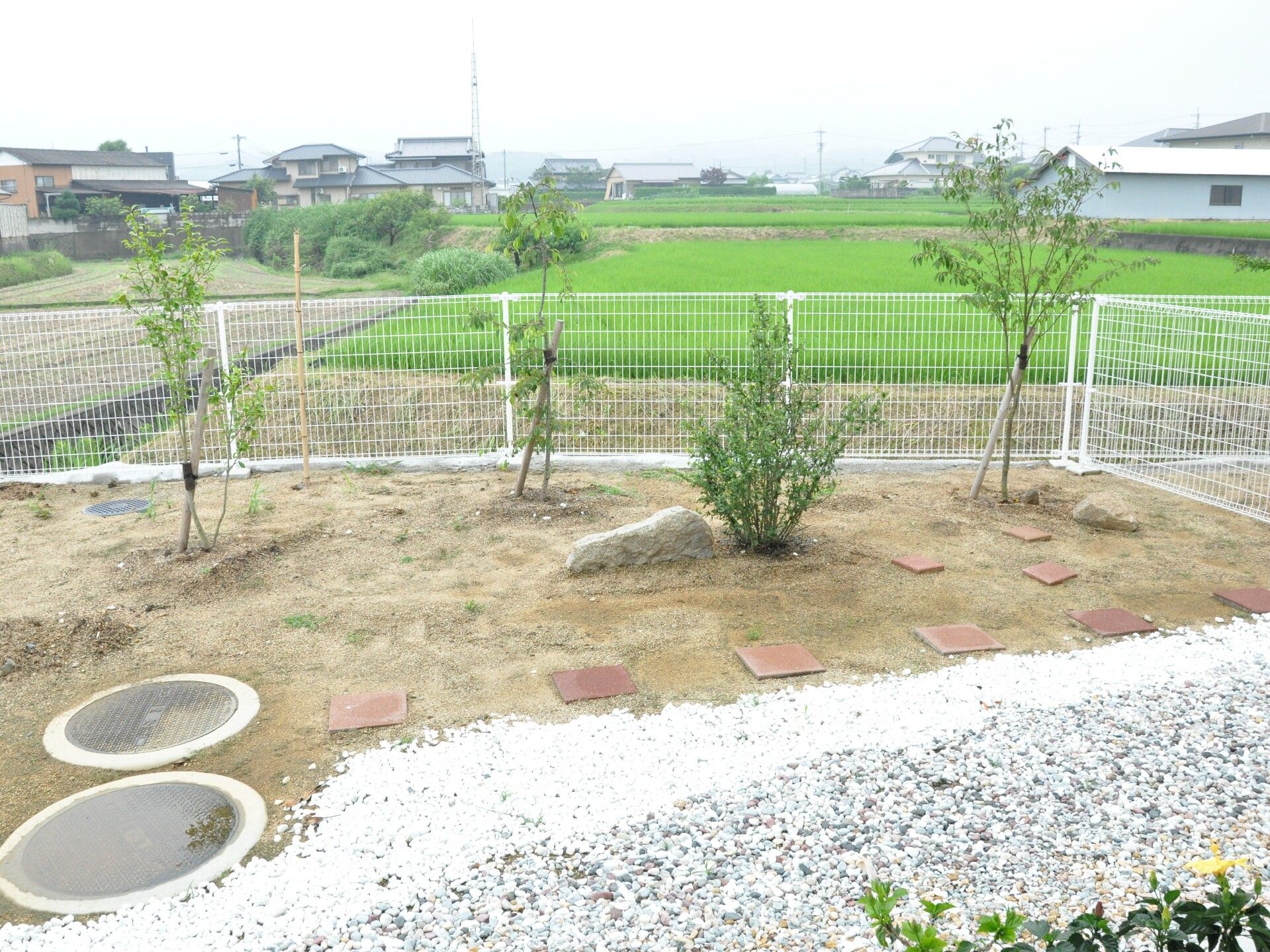 草木が植えられた庭には一部に白い砂利が敷かれ、レンガ調のブロックも複数置かれている。木はまだ若い。