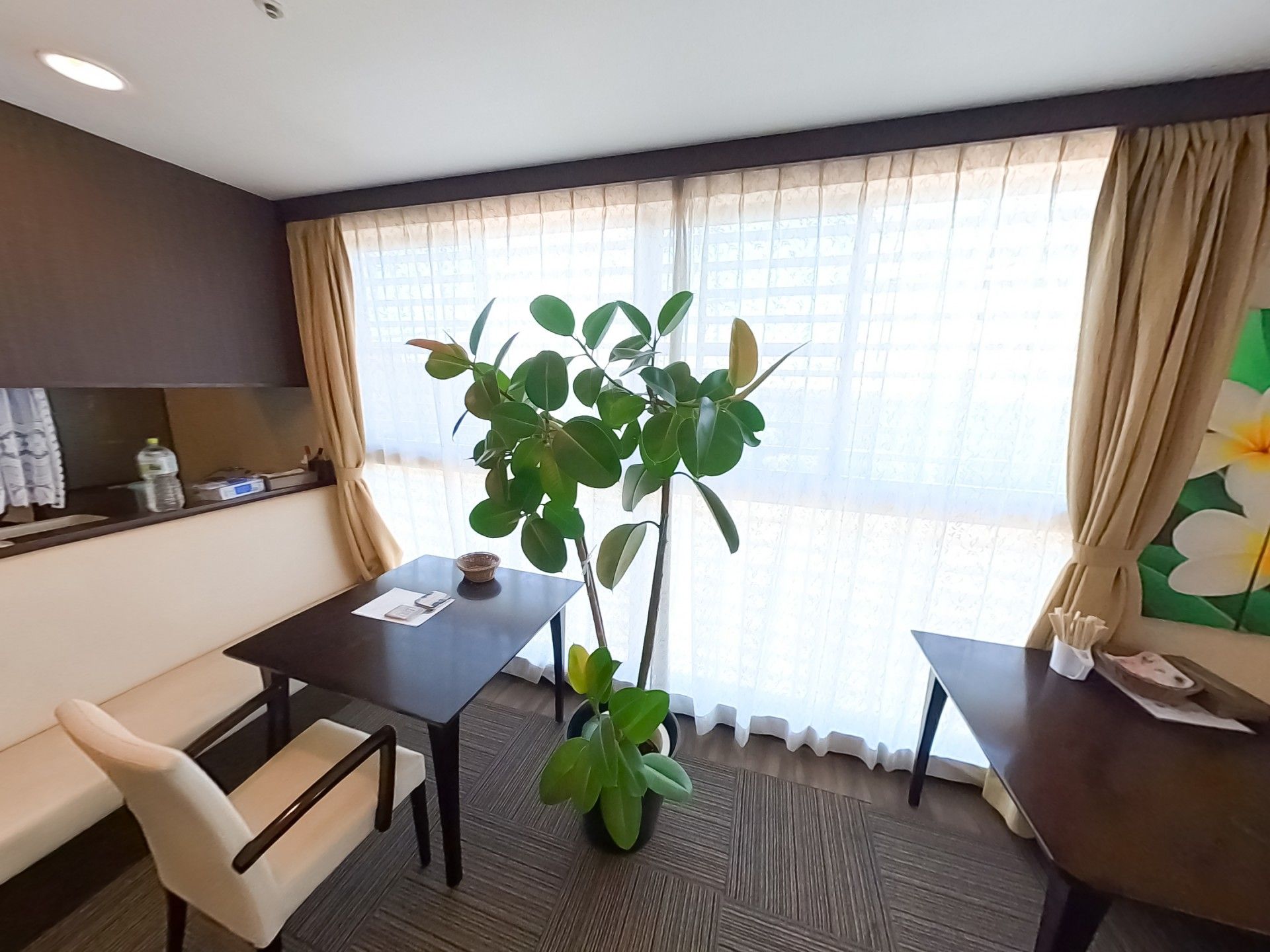 窓辺のテーブルと植物