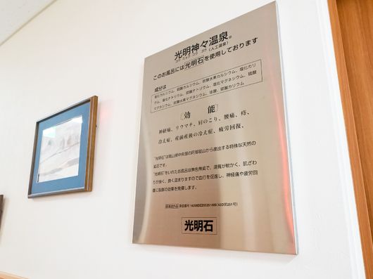 展示物