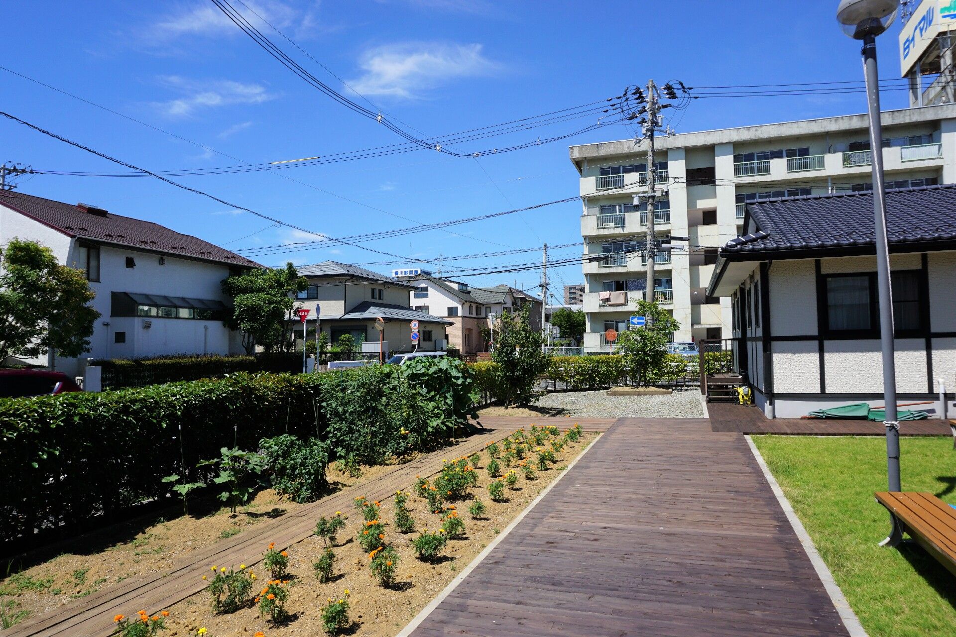 静かな庭の散歩道