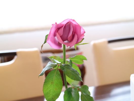花瓶