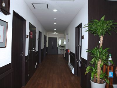 施設内の廊下の様子。両側にドアが個室につながるドアになっている。観葉植物や絵画が並べられている