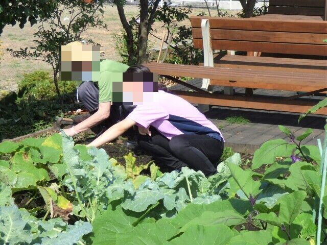 園芸クラブでは敷地内にある花壇や畑に花・野菜の苗を植えます。育った野菜は料理クラブで美味しく頂きます。