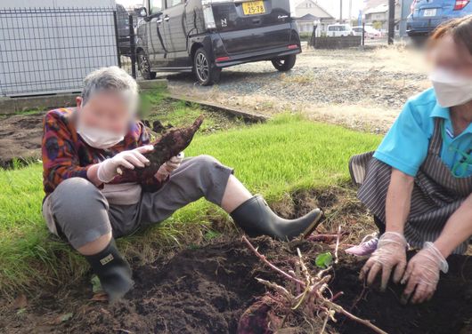 クラブ活動（菜園）