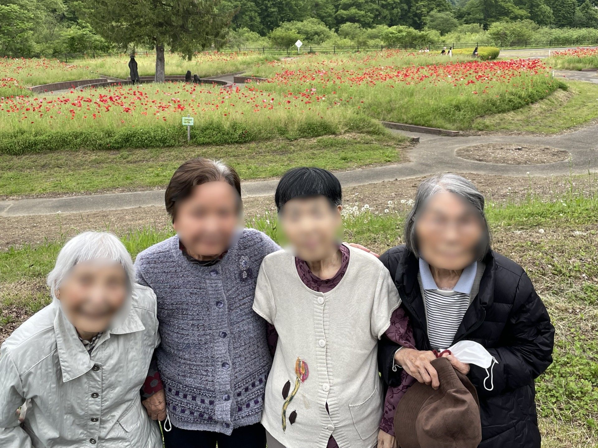 花畑での楽しいひととき