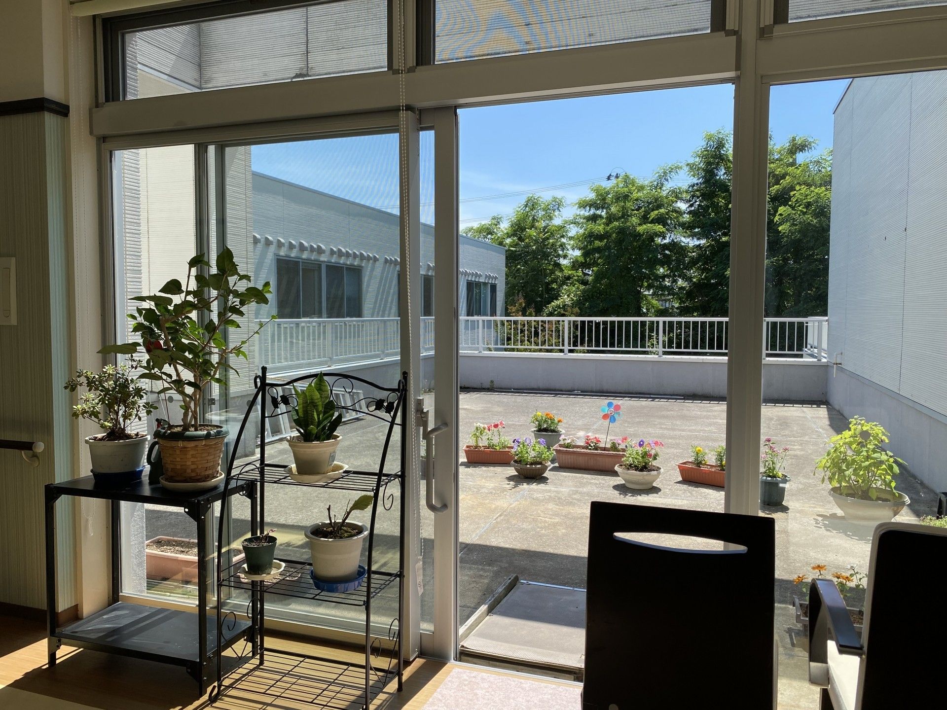 植物のあるバルコニー