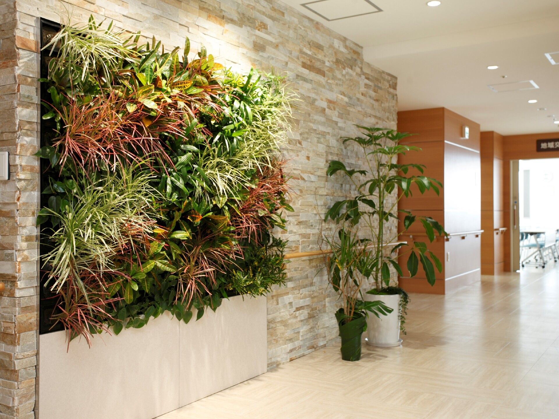 大小の観葉植物が飾られたエントランス。壁の一部が全体に植物が植えられたスペースとなっている。