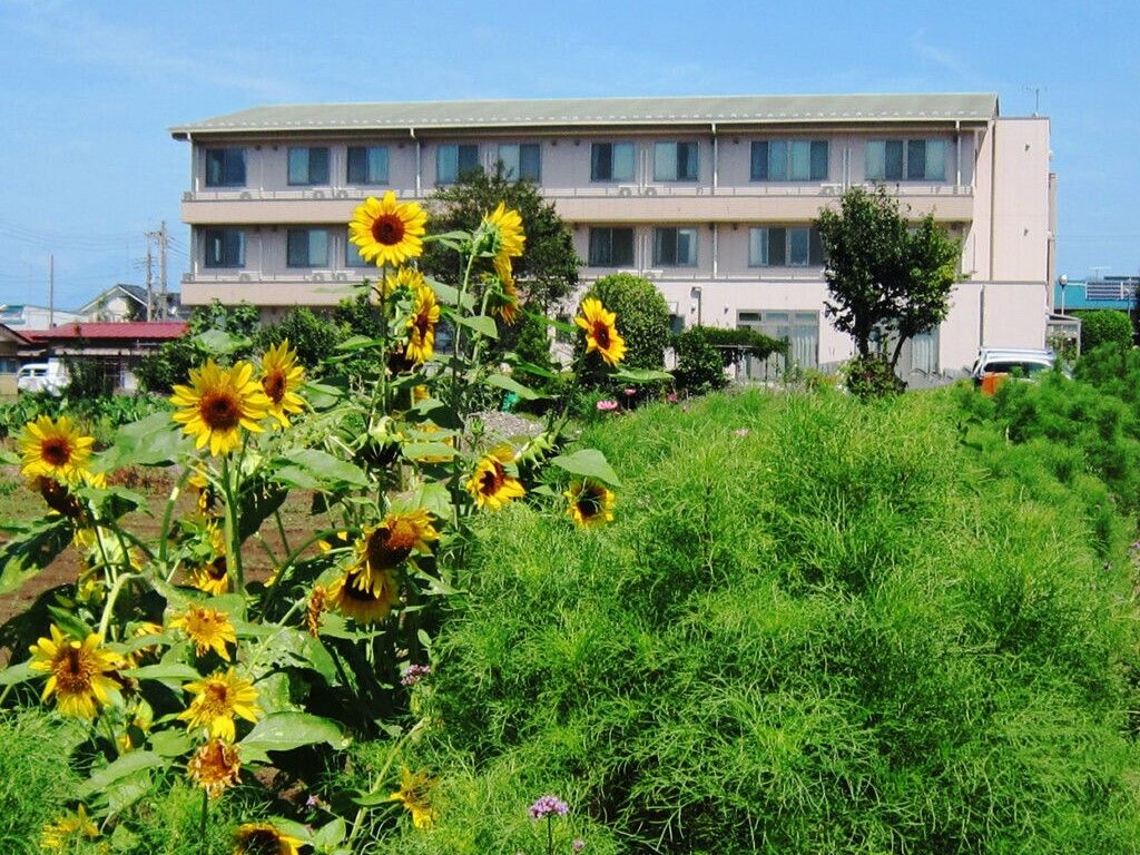ヒマワリがたくさん咲き、緑が生い茂る畑がある奥に3階建ての建物が建っている。
