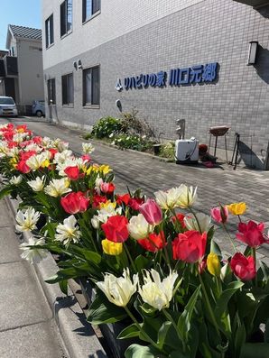 花壇