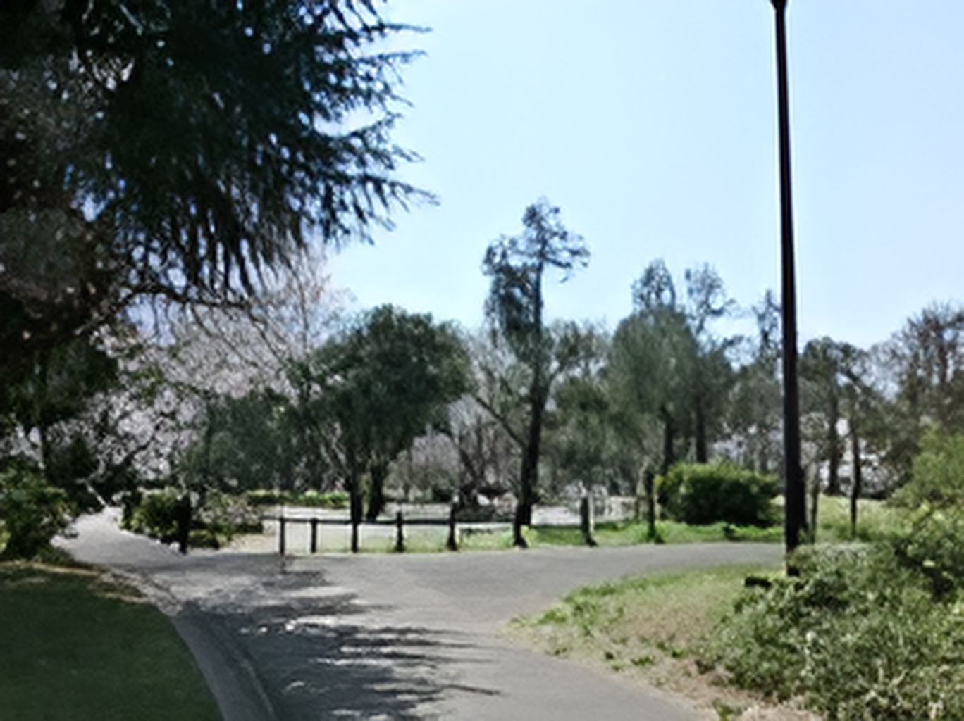 緑豊かな公園には遊歩道が設置され、外灯も立っている。空は雲がなくきれいに晴れている。