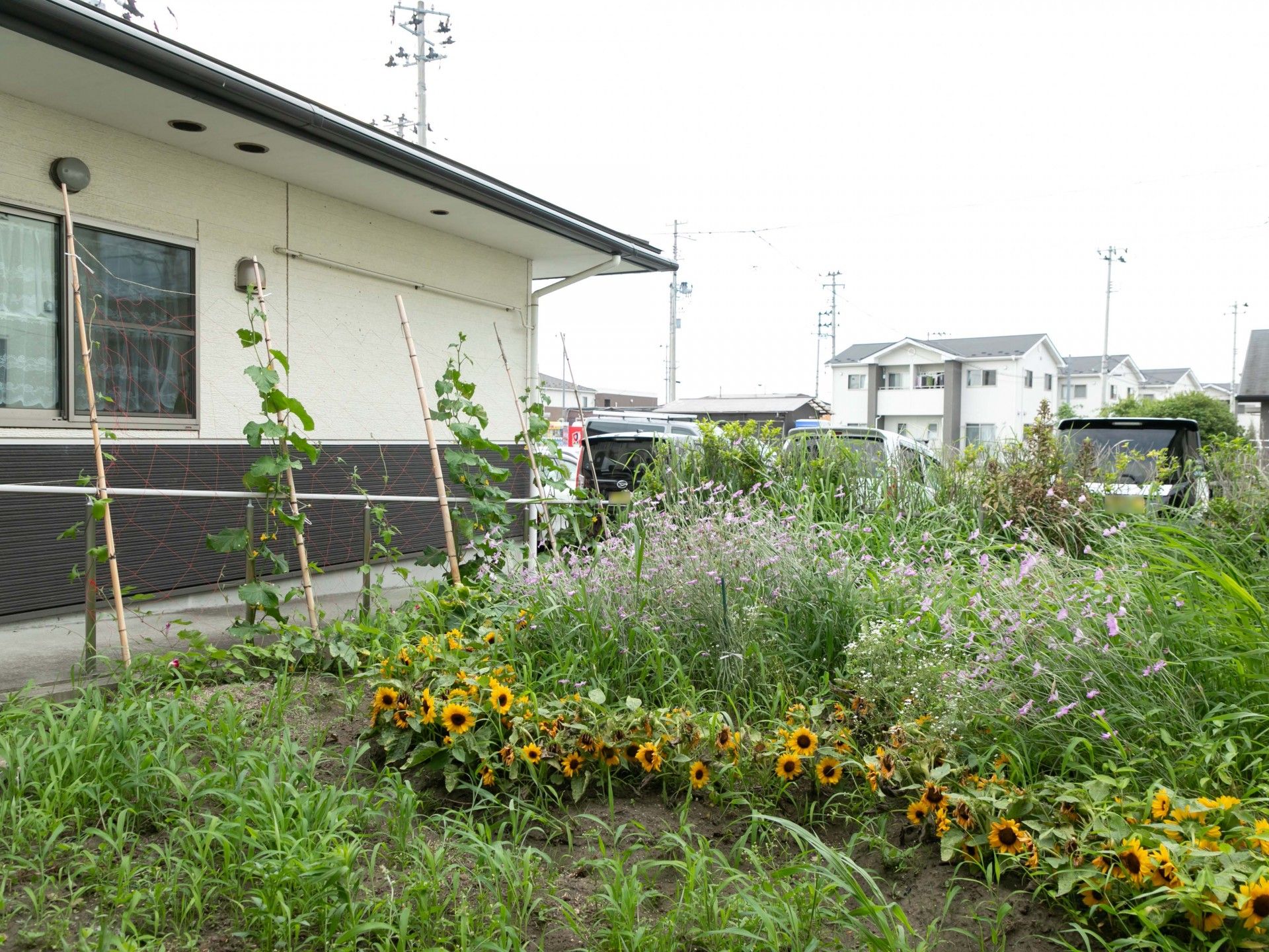 花と緑に囲まれた建物前