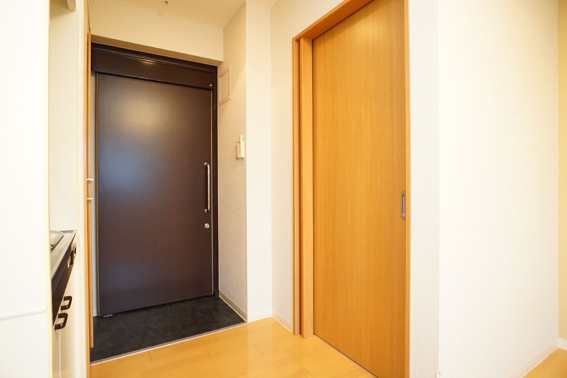 屋外で散策を楽しんでいる車いすの高齢女性と付き添いの若い女性スタッフ。日当たりのいい屋外で。