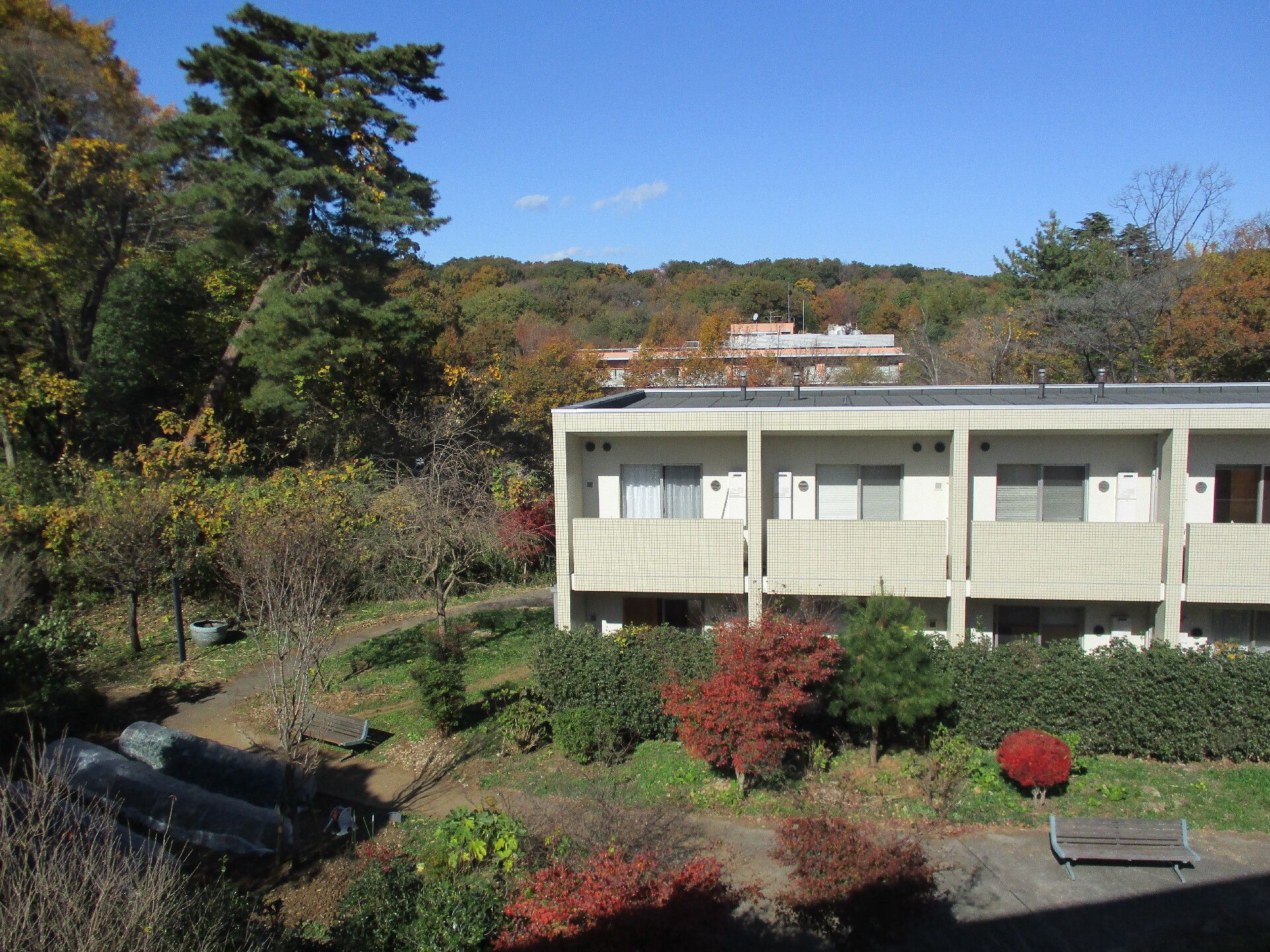 紅葉した気に囲まれた施設の外観。施設を遠めに写した写真