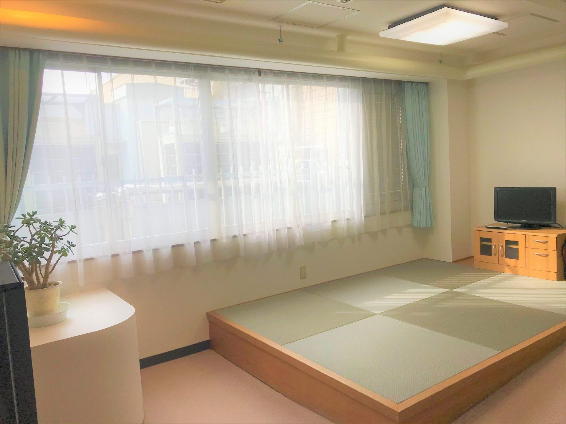 テレビやテレビラックが置かれた畳スペースがあり、その横には大きな窓が付いている。左側にある白い棚には観葉植物が飾られている。