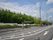 大きい道路がある。その歩道沿いには木が連なっており、緑が映える光景となっている。