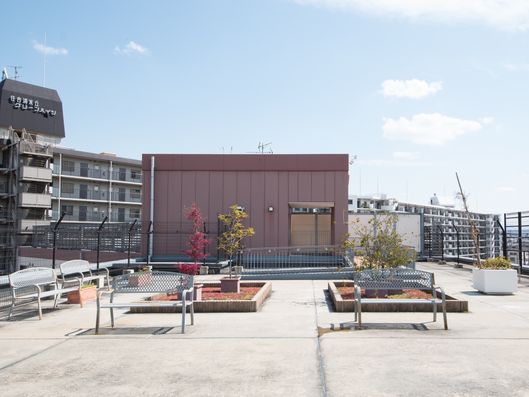 屋上庭園